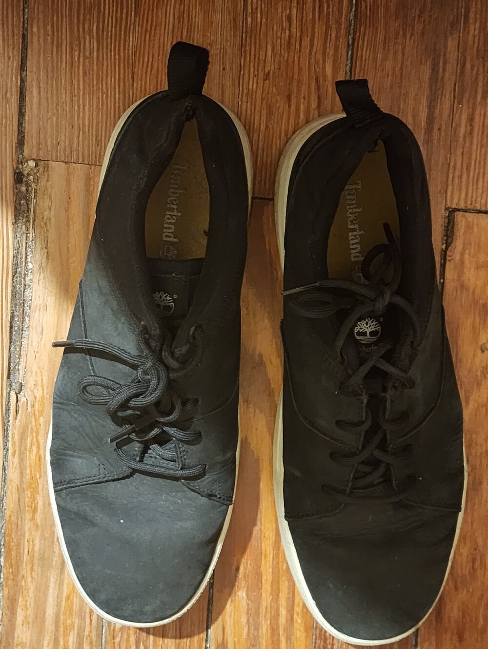 Timberland Maple Grove Navy And Black Low Top Sneakers 10.5